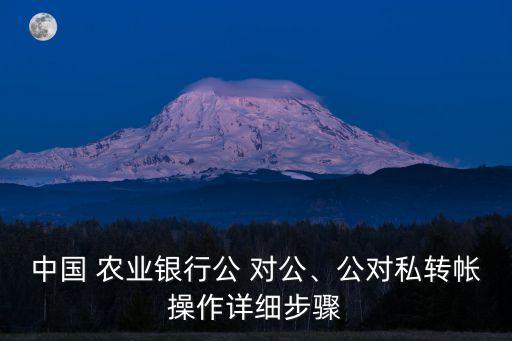 中国 农业银行公 对公、公对私转帐操作详细步骤