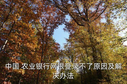 中国 农业银行网银登录不了原因及解决办法