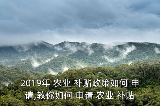 农业园区政府补贴怎么申请,公司政府补贴怎么申请