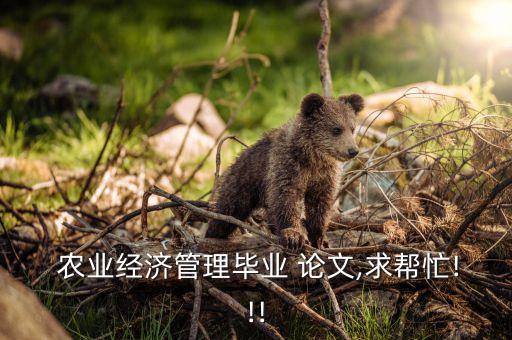  农业经济管理毕业 论文,求帮忙!!!