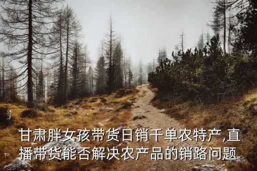  甘肃胖女孩带货日销千单农特产,直播带货能否解决农产品的销路问题