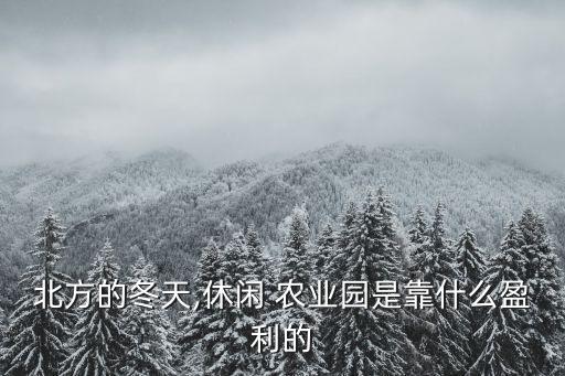 北方的冬天,休闲 农业园是靠什么盈利的