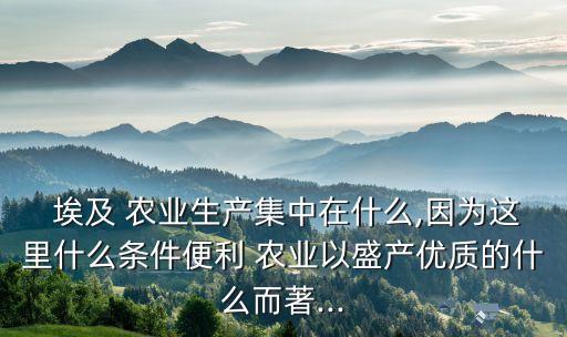  埃及 农业生产集中在什么,因为这里什么条件便利 农业以盛产优质的什么而著...