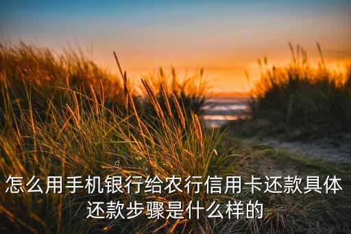 农业银行卡怎么还贷,自己的银行卡被冻结 如何还贷呢