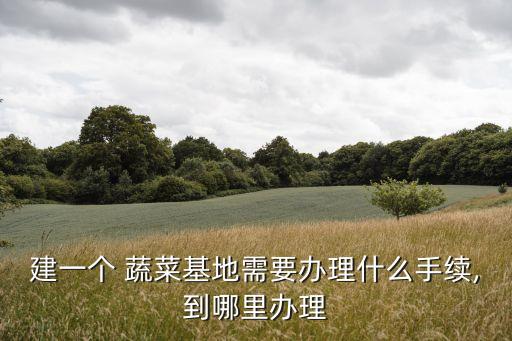 农业公司有机蔬菜证怎么办