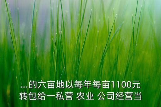 给农业公司打工怎么合作