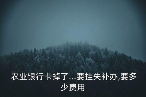 农业银行怎么申请补卡收费