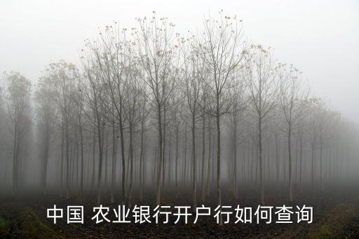 中国 农业银行开户行如何查询