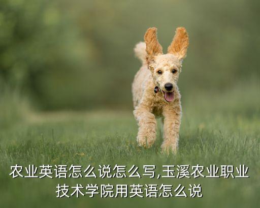 再生农业英语怎么说怎么写,玉溪农业职业技术学院用英语怎么说