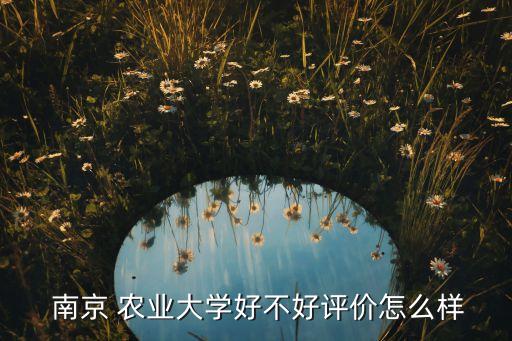 南京农业大学怎么请假