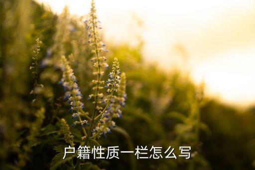 户籍性质一栏怎么写