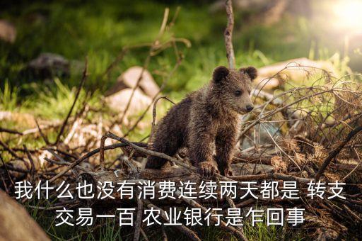 农业银行自动转支怎么关闭