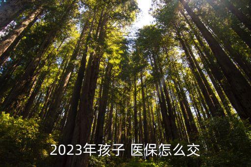 2023年孩子 医保怎么交