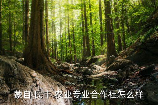 郑州民丰农业公司怎么样