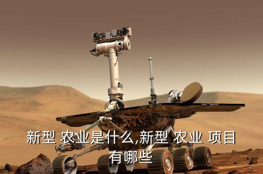 新型 农业是什么,新型 农业 项目有哪些