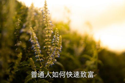 一个不懂农业的人怎么赚钱