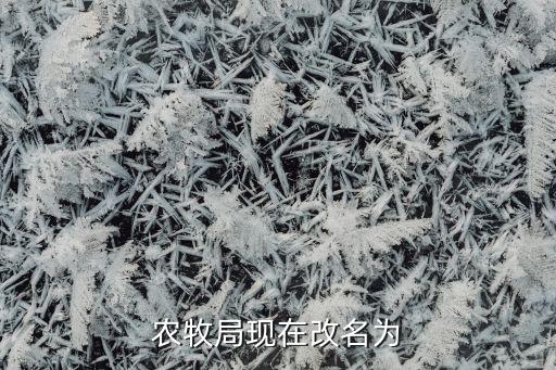 农牧局现在改名为