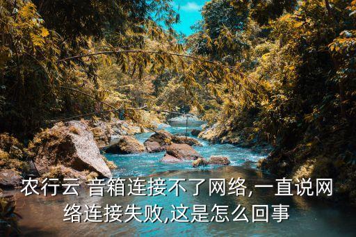 农业银行云音箱联网怎么连