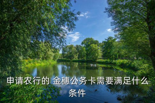 农业银行金穗卡怎么开通,手机农业银行怎么开通