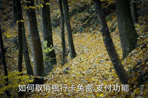 农业银行怎么关免密支付