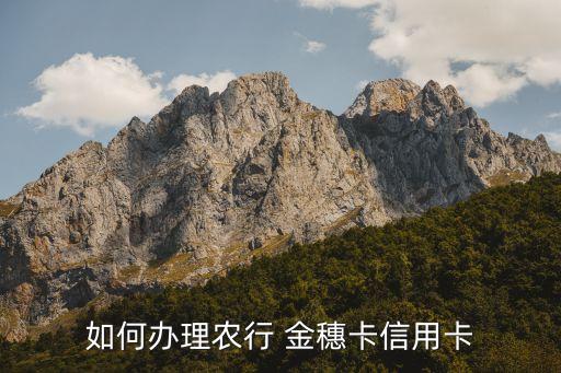 农业金穗卡怎么开通,农业八一金穗卡