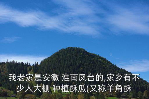 淮南农业种植什么,农业种植什么好项目有哪些