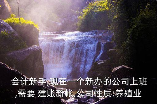 农业会计怎么建账