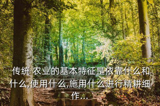 传统农业的社会基础是什么
