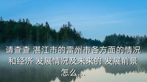 请查查 湛江市的雷州市各方面的情况和经济 发展情况及未来的 发展前景怎么...