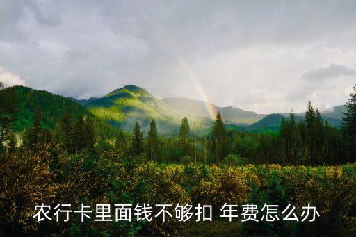 农行卡里面钱不够扣 年费怎么办
