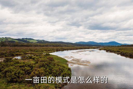 b2b农业怎么解决