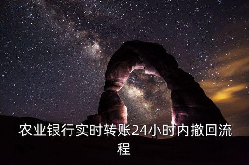 农业银行批量代付怎么撤销