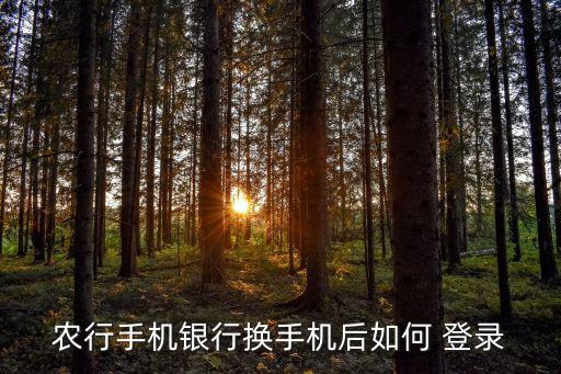 农行手机银行换手机后如何 登录