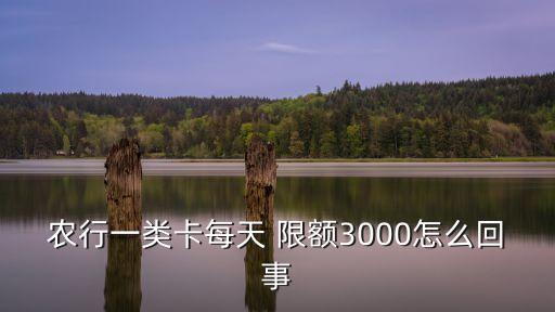 农业银行借记卡限额怎么