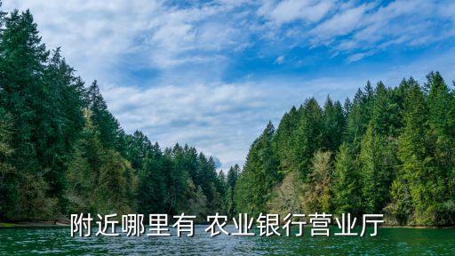 乡镇怎么没有农业银行网点,农业银行乡镇网点值得去吗