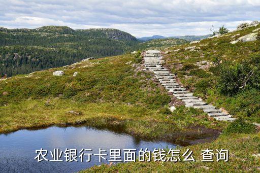  农业银行卡里面的钱怎么 查询