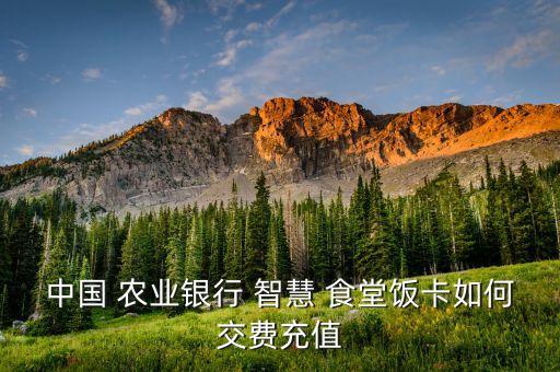 农业银行怎么绑定智慧食堂,智慧食堂只能绑定农业银行吗