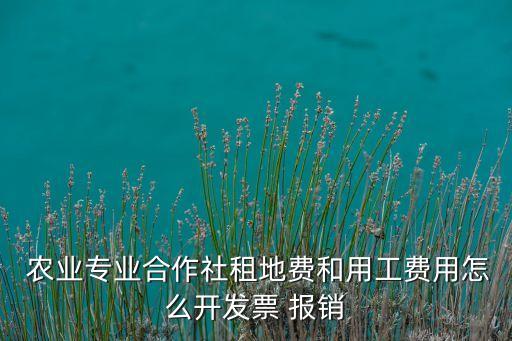  农业专业合作社租地费和用工费用怎么开发票 报销