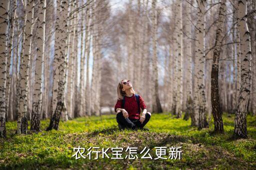 农行K宝怎么更新