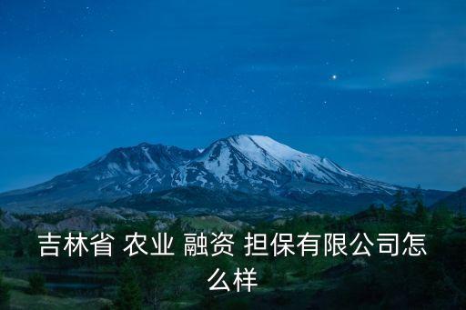 吉林省 农业 融资 担保有限公司怎么样
