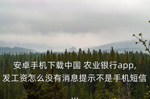 安卓手机下载中国 农业银行app,发工资怎么没有消息提示不是手机短信...