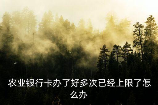 农业卡限制使用怎么办理,农业怎么查看日限制