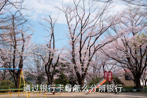 农业银行后6位是什么数字,广西农业银行开头的数字是什么?