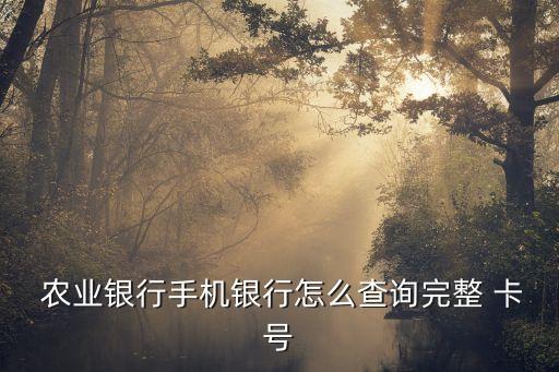农业APP怎么看全卡号,农业手机银行app怎么看额度