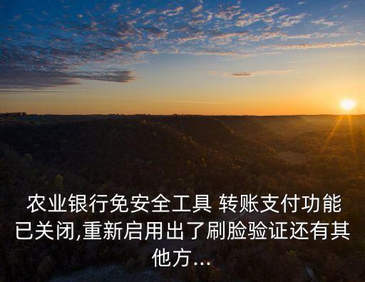 农业银行怎么开通转账权限