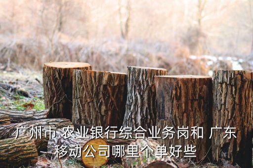 广东农业银行怎么样
