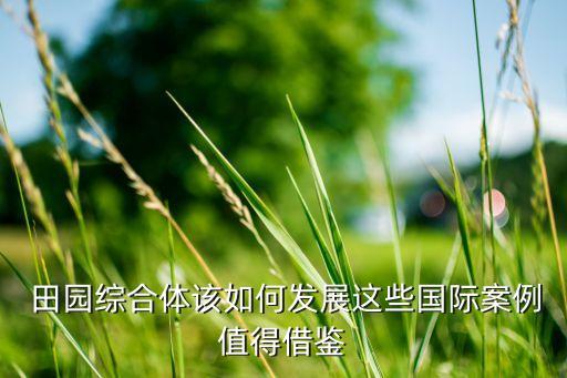 田园农业梦怎么做,田园如何做休闲农业