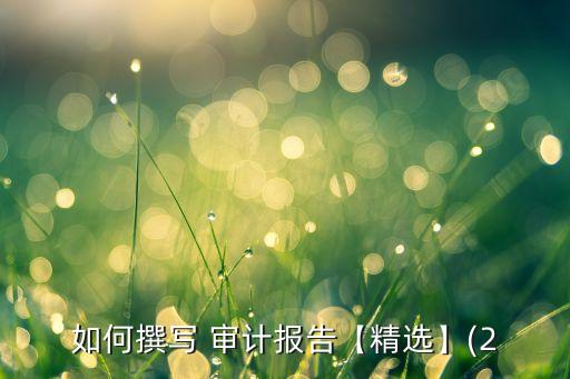 如何撰写 审计报告【精选】(2