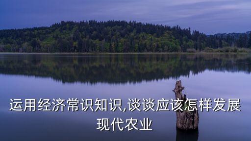 运用经济常识知识,谈谈应该怎样发展现代农业