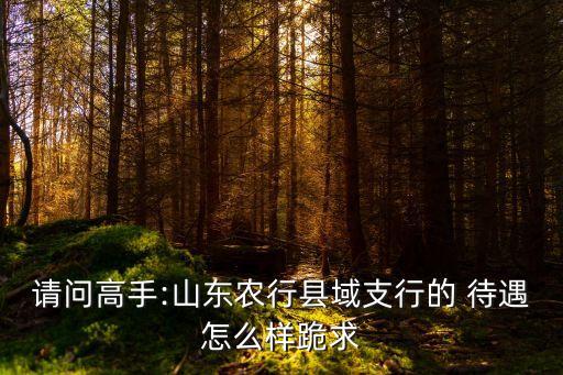 请问高手:山东农行县域支行的 待遇怎么样跪求